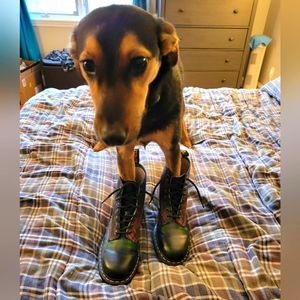 Dr Martens Plaid Boots